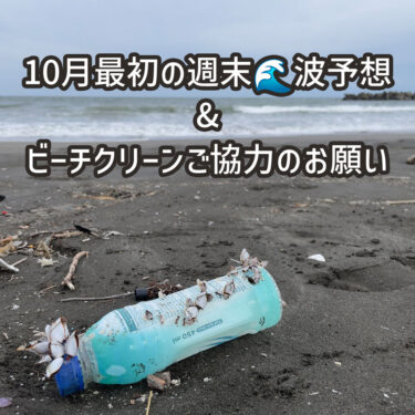 サーフィンしましょ🏄‍♂️店前で。ビーチクリーンは日曜10時☀️